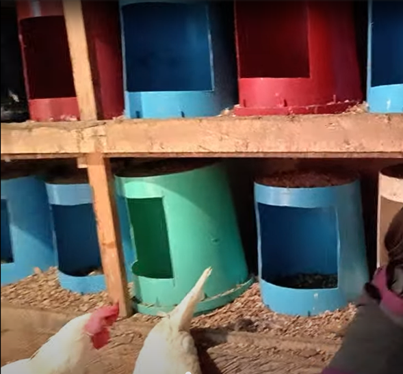 Primeros nidos de Granja Las Cruces elaborados con cubetas adaptadas